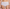 Tailleslip Chantelle EasyFeel - Norah - Paars - 06F