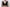 Bralette BH Chantelle EasyFeel - Floral Touch - Zwart - 011