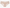 Hipster Passionata - Maddie - Rose - 840