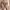 String Chantelle - Softstretch - Imprimé - 0M5