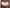 Hipster Chantelle - Softstretch - Beige - 01N
