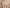 String Chantelle - Softstretch - Pêche - 0W4