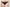String Passionata - Maddie - Marron - 161