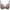 Full cup BH Wacoal - Embrace Lace - Grijs - 067