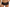 Hipster Wacoal - Abellia - Zwart - BLK