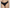 Culotte Marie Jo - Milao - Noire - ZWA