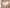 Culotte taille haute Marie Jo - Milao - Rose - PPI