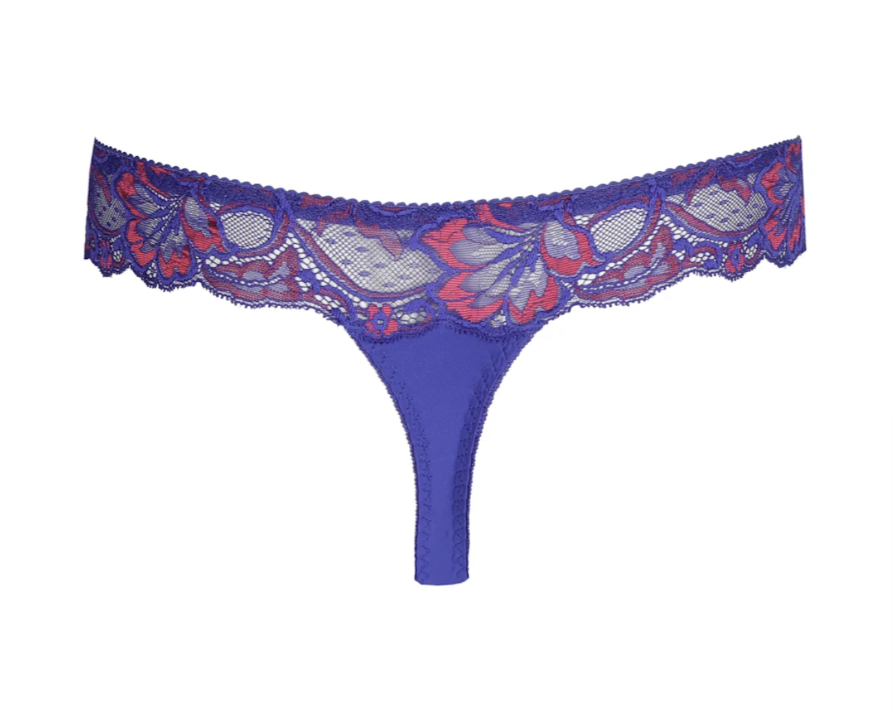 String PrimaDonna - Madison - Bleu - BYK