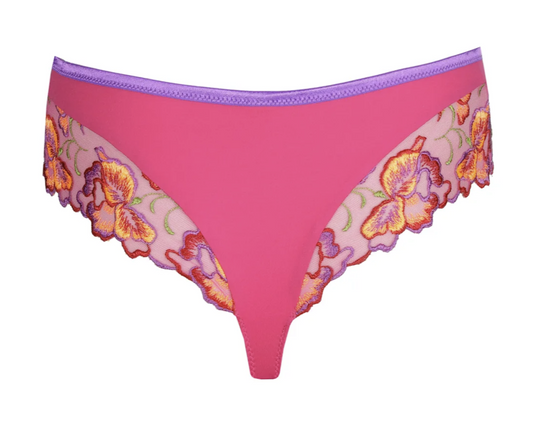 String PrimaDonna - Devdaha - Rose - VEB