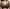 Soutien-gorge emboîtant PrimaDonna - Madison - Vert - DFO