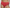Culotte taille haute Marie Jo - Jane - Rouge - TRR