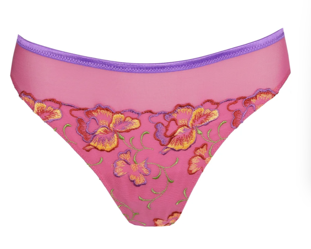 String PrimaDonna - Devdaha - Rose - VEB