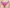 String PrimaDonna - Devdaha - Rose - VEB