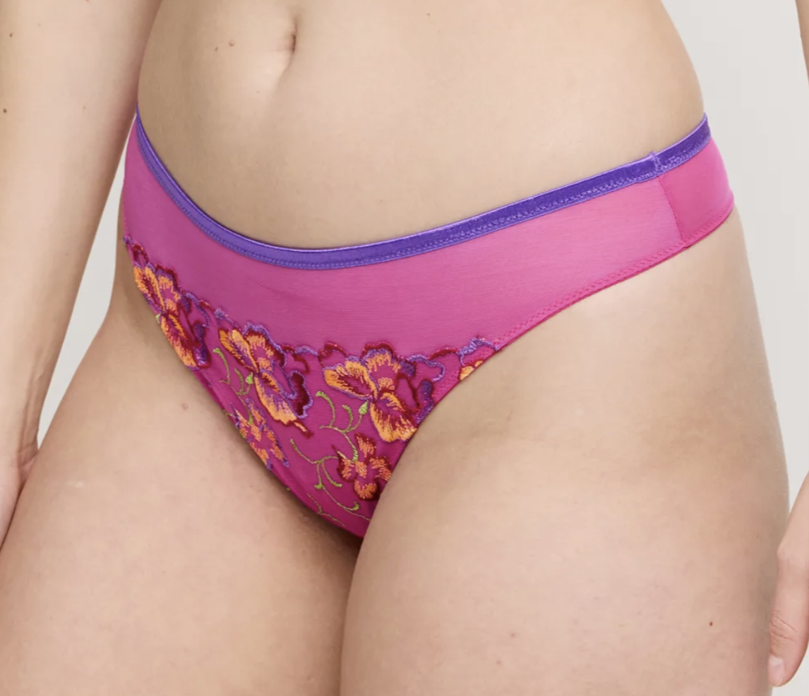 String PrimaDonna - Devdaha - Rose - VEB
