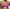 Soutien-gorge push-up Marie Jo - Jane - Rose - OHB