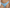 String Marie Jo - Tom - Bleu - AZD