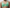Plunge BH Chantelle Pulp - Girls - Groen - 300