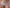 Slip Chantelle EasyFeel - Norah - Paars - 027