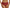 Slip Wacoal - Back Appeal - Rood - REG