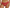 Slip Wacoal - Sensu Lace - Rood - SAL