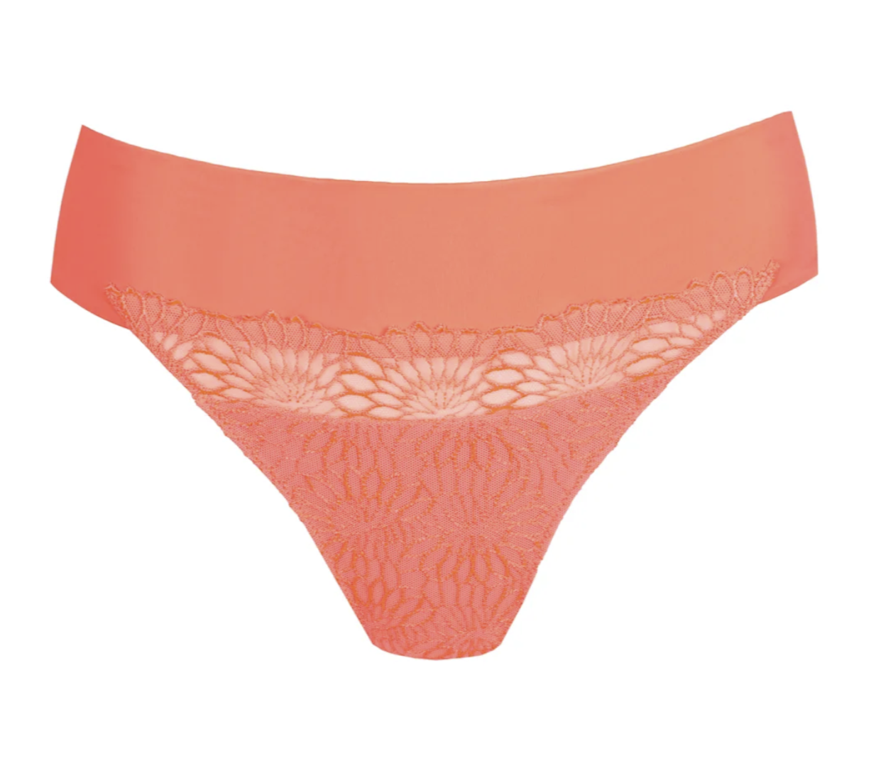 String PrimaDonna - Sophora - Orange - SPZ
