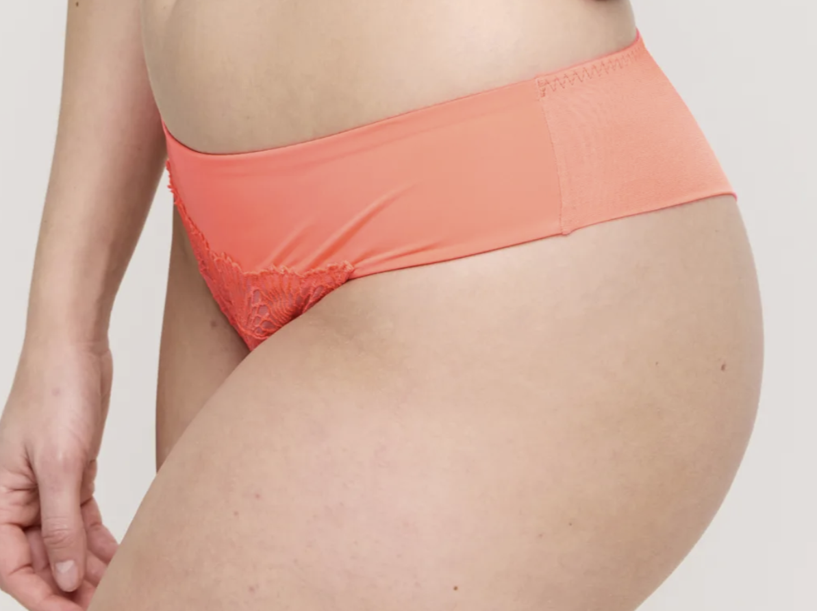 String PrimaDonna - Sophora - Orange - SPZ