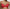 Soutien-gorge emboîtant Marie Jo - Louie - Rouge - TRR