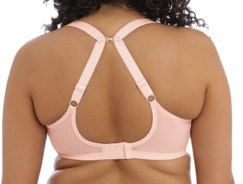 Plunge BH Elomi - Charley - Rose - BAK