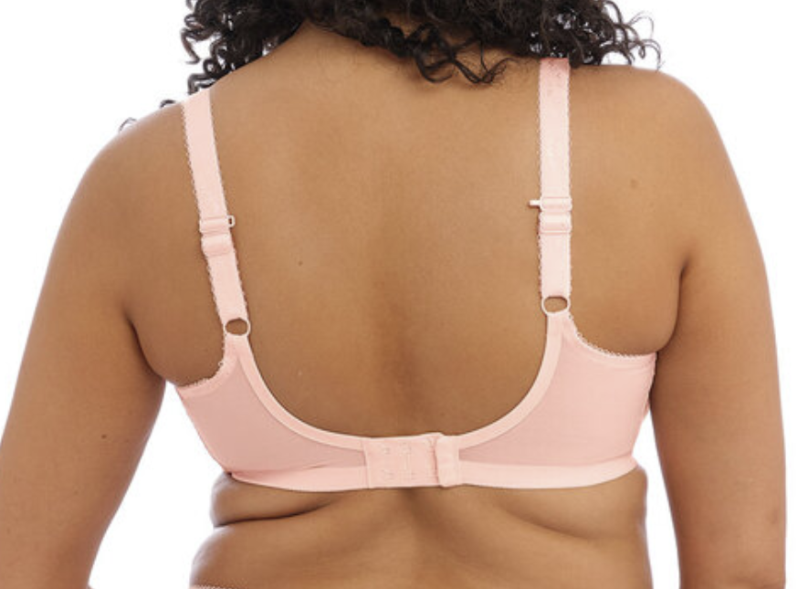 Plunge BH Elomi - Charley - Rose - BAK