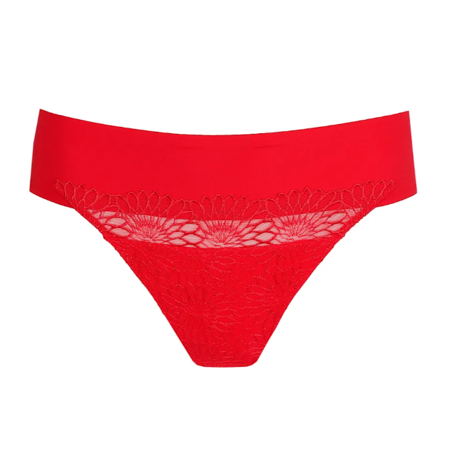 String PrimaDonna - Sophora - Rouge - TRR