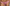 Culotte Marie Jo - Avero - Rose - BTP