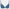 Soutien-gorge plongeant Chantelle - Fleurs Signature - Bleu - A54