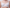 Soutien-gorge emboîtant Chantelle - Intrigue - Blanc - 010