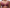 Plunge BH Chantelle Pulp - Play - Bruin - 0K7