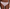 String Chantelle - Softstretch - Violet - 027