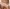 Culotte taille haute PrimaDonna - Deauville - Rose - VEN