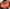 Soutien-gorge emboîtant PrimaDonna - Devdaha - Orange - SBH