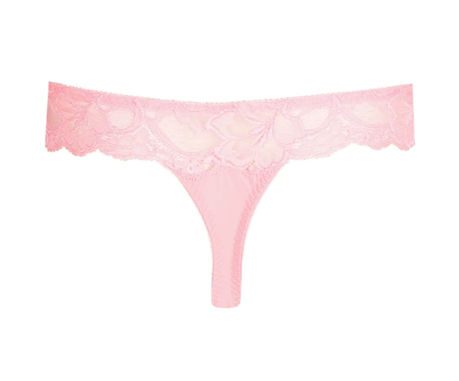 String PrimaDonna - Madison - Rose - PPF
