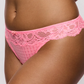 String PrimaDonna - Madison - Rose - PPF