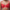 Full cup BH Chantelle Pulp - Play - Rood - 01X