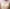 Soutien-gorge emboîtant Chantelle - Day To Night - Jaune - 0PR