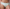 Slip Chantelle EasyFeel - Emma - Groen - 073
