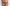 Hipster Passionata - Suzy - Grijs - 682