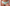 Hipster Chantelle Pulp - Play - Groen - 0F2