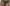 String Chantelle - Softstretch - Vert - 0FB