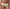 Culotte Chantelle - Day To Night - Jaune - 0PR