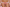 String Chantelle Pulp - Girls - Rose - 0J7