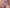 String Chantelle EasyFeel - Floral Touch - Paars - 08B