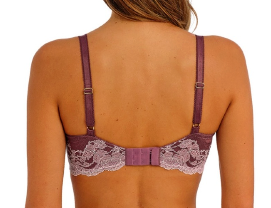 Plunge BH Wacoal - Modern Affair - Rose - 248