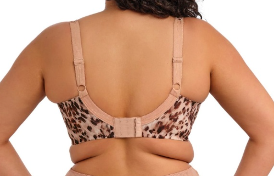 Plunge BH Elomi - Lucie - Print - WIT